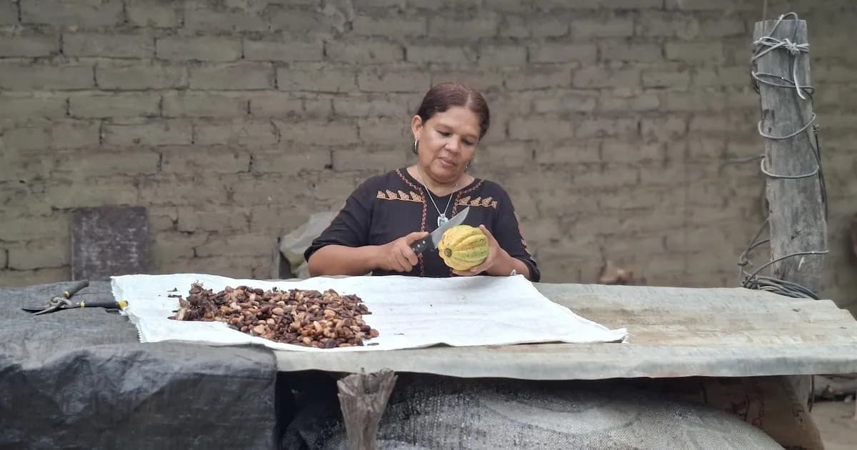 El cacao como símbolo de sostenibilidad y empoderamiento en América Latina