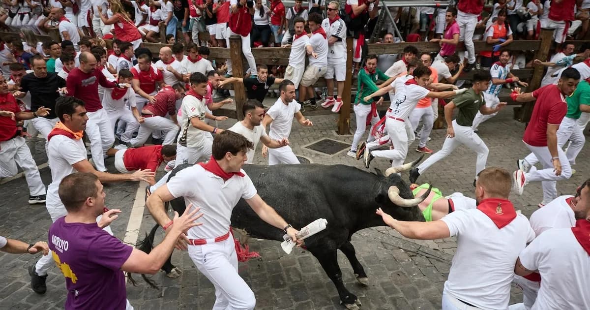 Rápido y seguro séptimo encierro de toros Miura en San Fermín