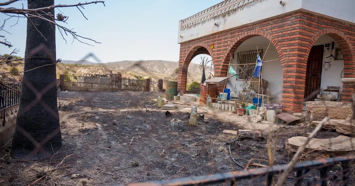 Control del incendio en Los Gallardos: Avances y desafíos en la lucha contra el fuego