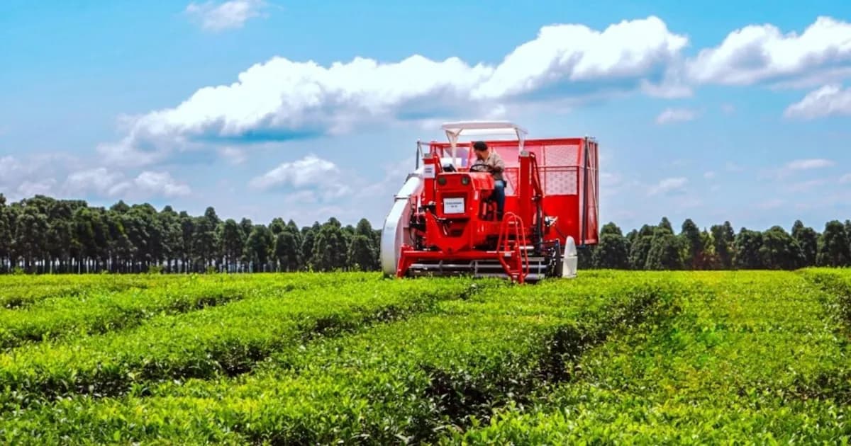 Confianza en el campo argentino alcanza récord histórico de inversión en enero