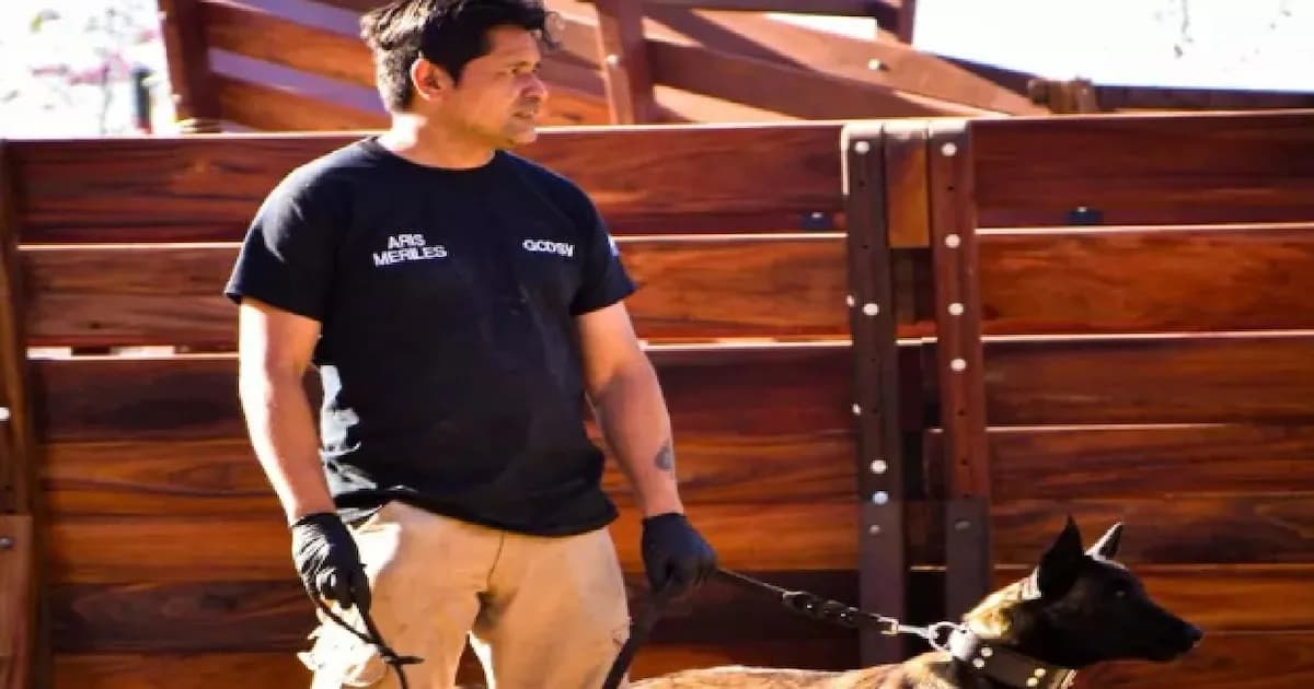 Perros adiestrados, nuevos aliados en la defensa citrícola del NOA contra el HLB