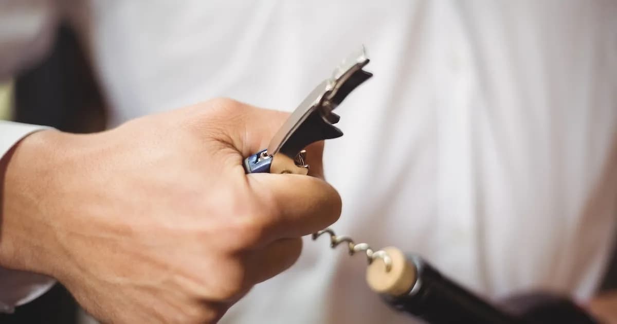 ¿Cuándo es el mejor momento para abrir una botella de vino? Consejos para disfrutarlo al máximo