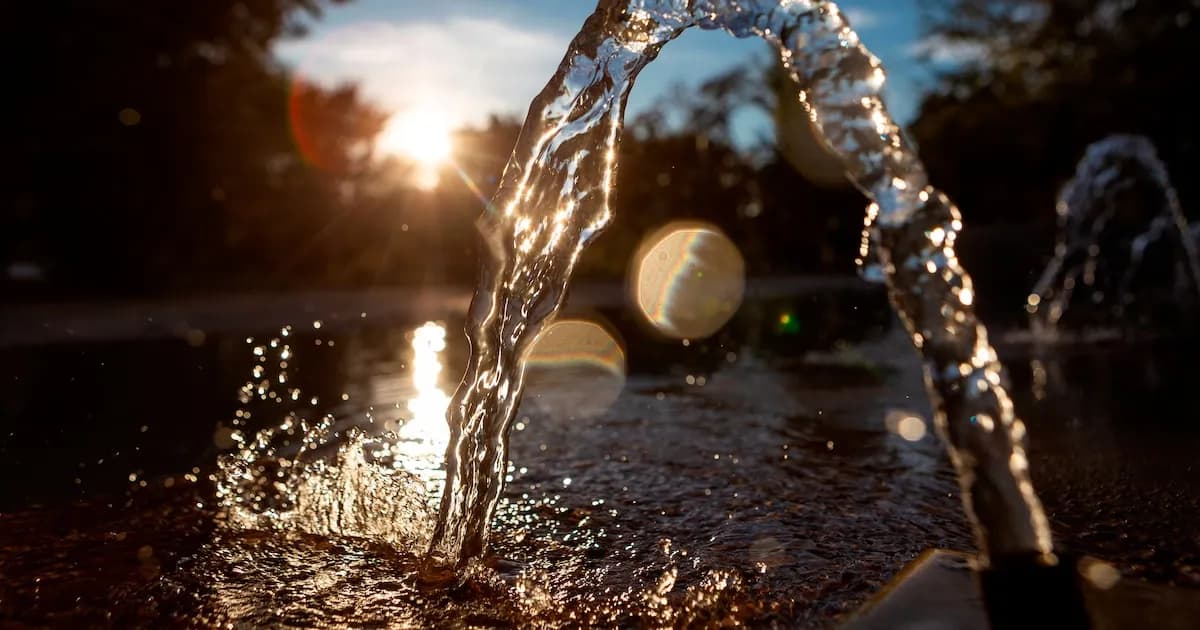 El medio ambiente ya forma parte de las decisiones económicas clave