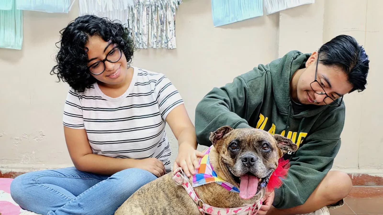 La Universidad de El Salvador ofrece acompañamiento con perros durante los exámenes