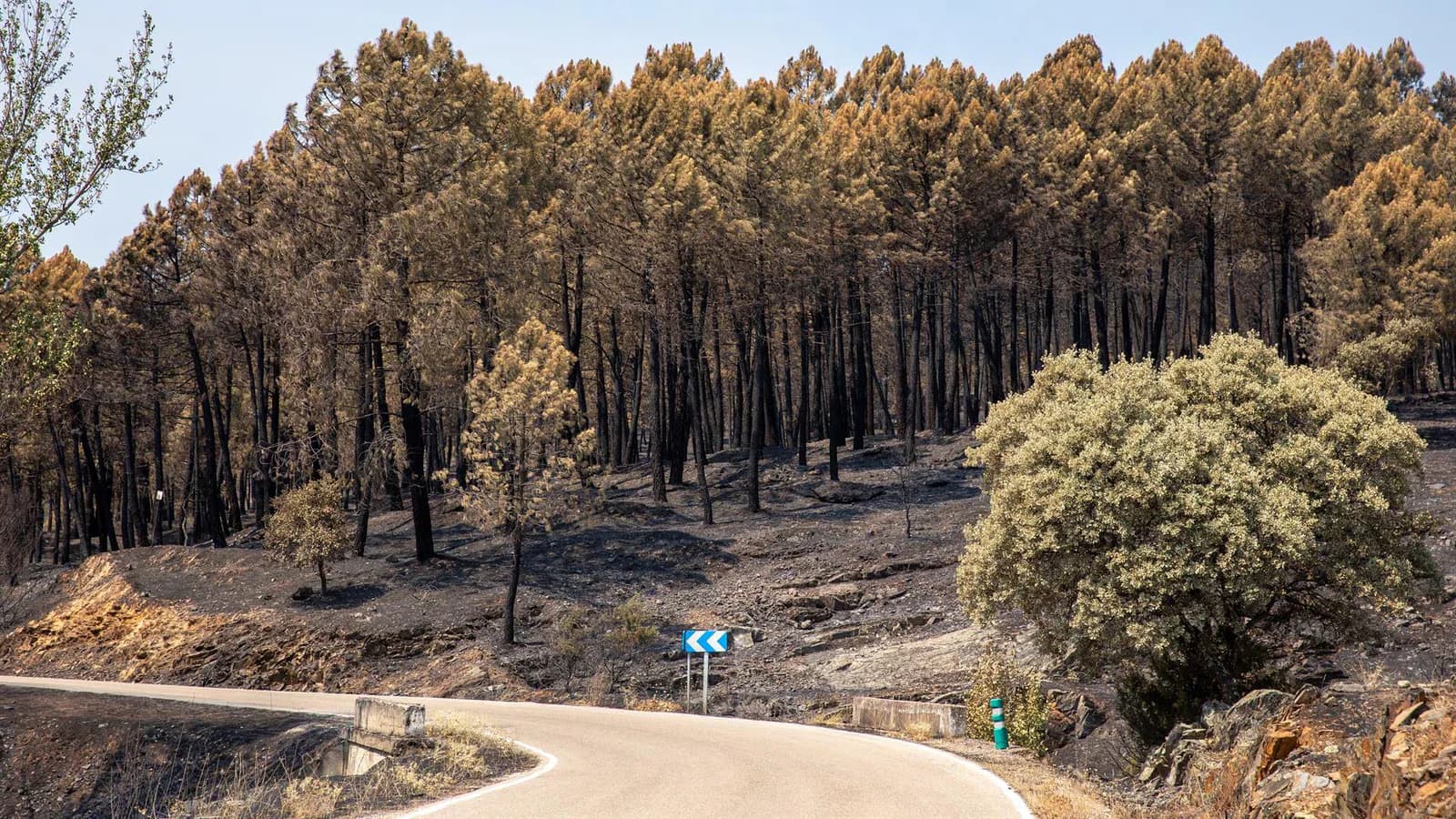 Extinguieron oficialmente el incendio de La Mierla tras 51 días de actividad