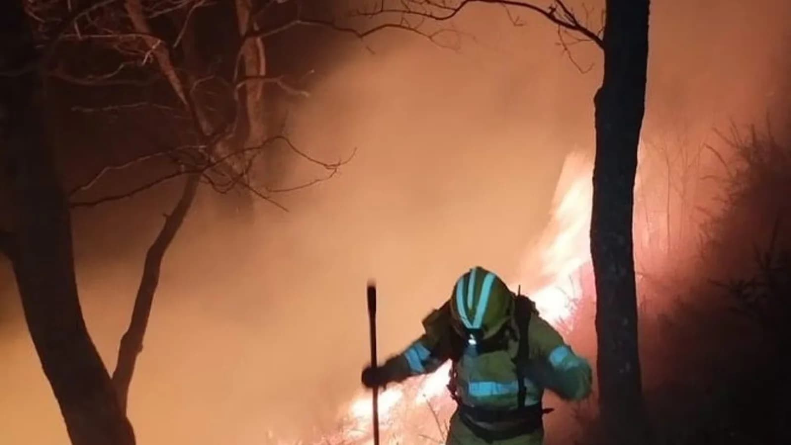 Controlan el sector de un incendio forestal que amenazó Correpoco, en Cantabria