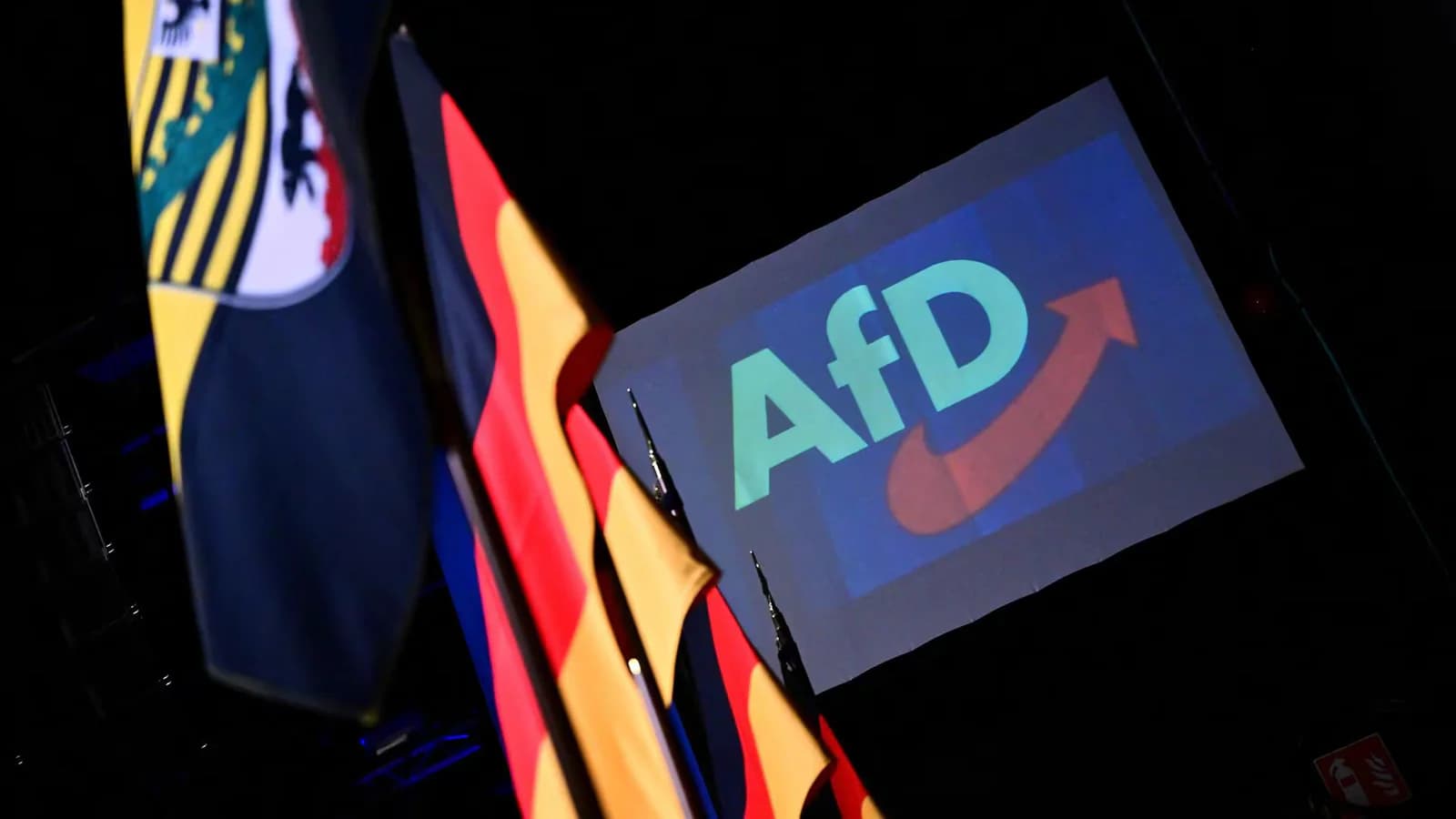 La AfD gana en Sajonia-Anhalt, pero queda sin mayoría absoluta