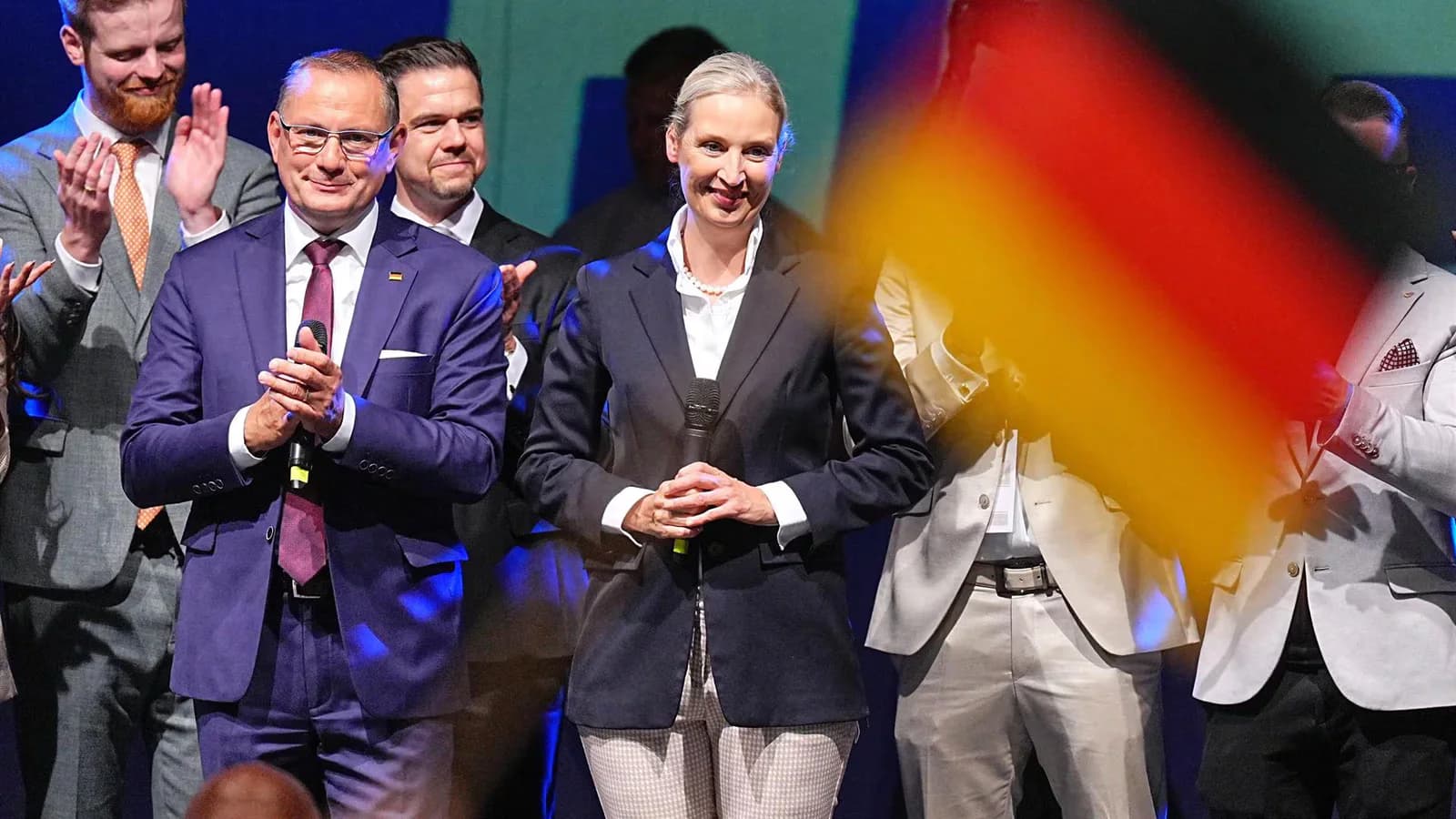 La AfD exige a Friedrich Merz convocar elecciones anticipadas antes de Navidad