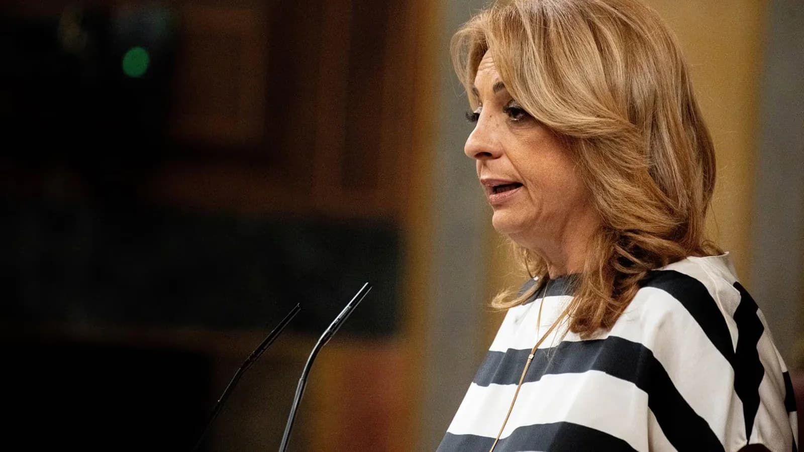 Coalición Canaria cuestiona al Gobierno por no reforzar la frontera de Ceuta