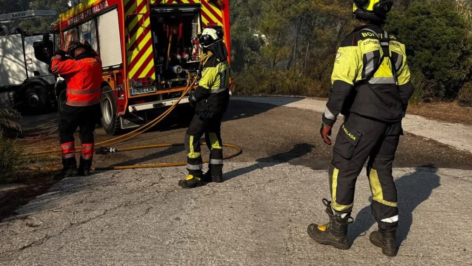 Despliegan 13 efectivos y seis vehículos para proteger viviendas por un incendio en Benahavís