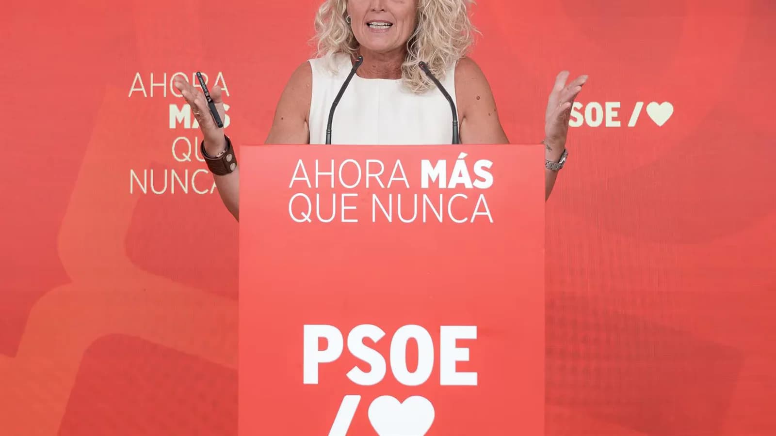 El PSOE exige al Supremo una resolución rápida sobre el voto de la ley de nietos