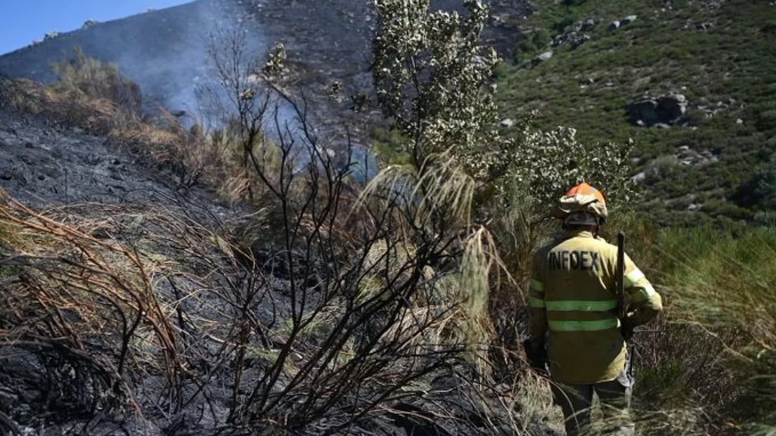 El incendio de Tornavacas evoluciona favorablemente con 95 efectivos desplegados