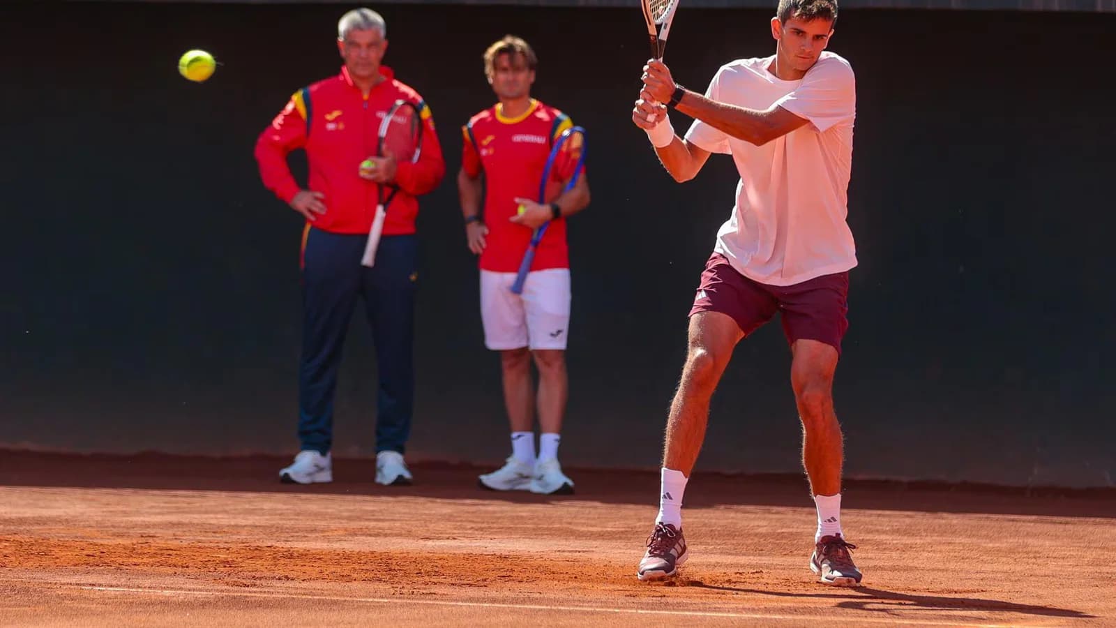 Ferrer confía en España para enfrentar a Chile por la Copa Davis