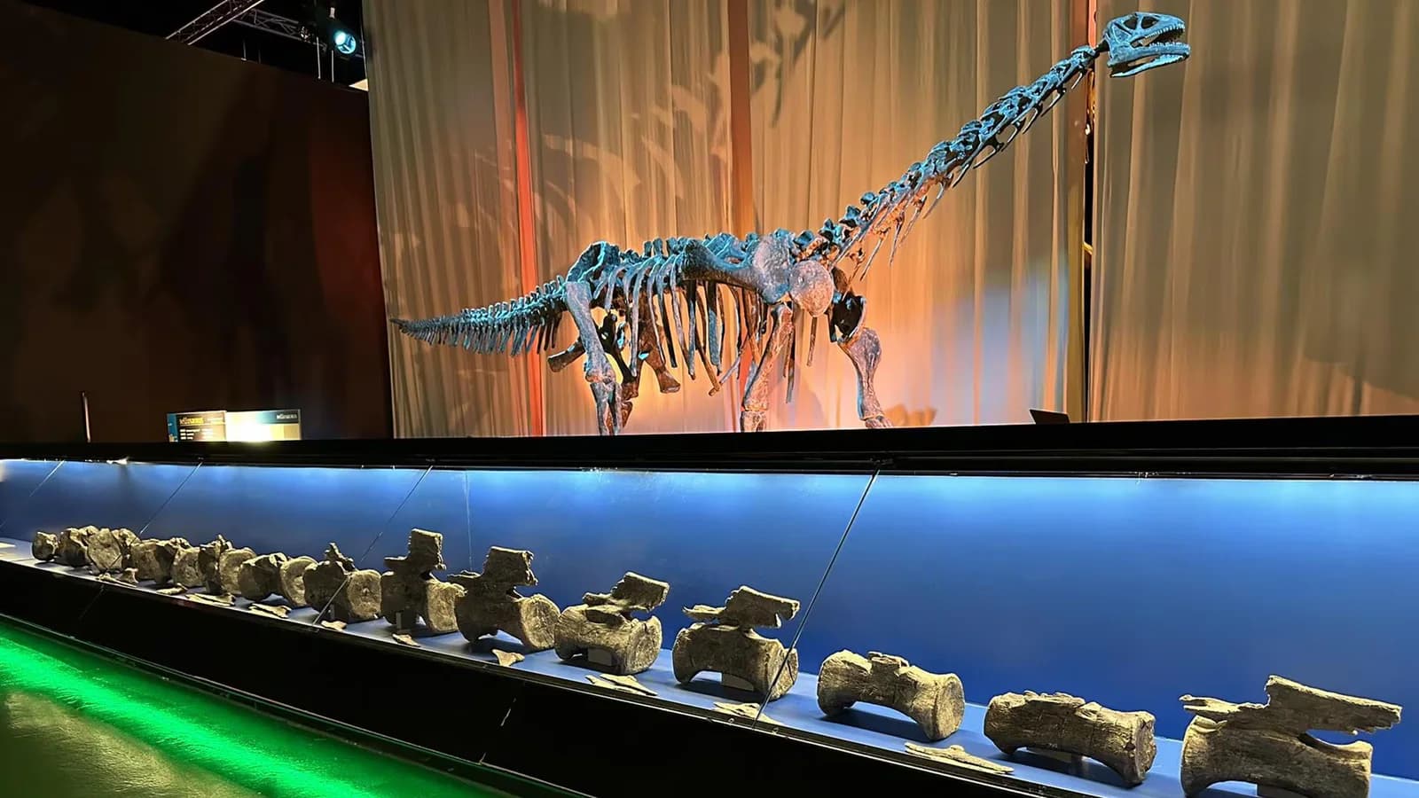 Identifican fósiles de Diplodocus en un yacimiento de El Castellar, Teruel