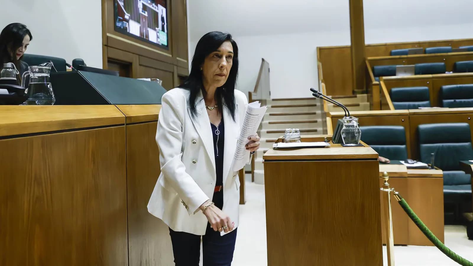 Vox cuestiona el costo del decreto vasco sobre el euskera tras su anulación
