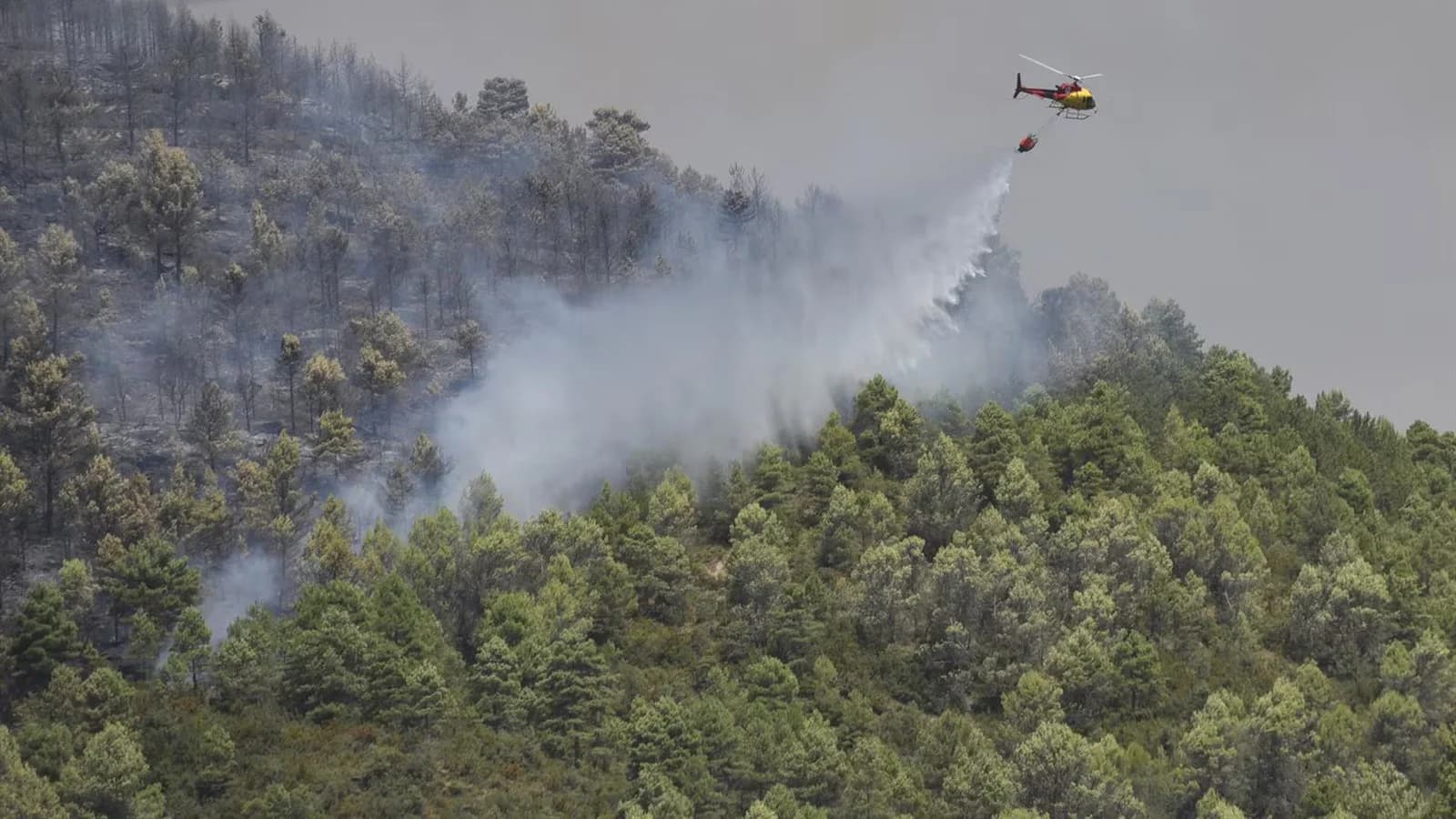La Justicia mantiene en libertad provisional al investigado por el incendio de Riglos