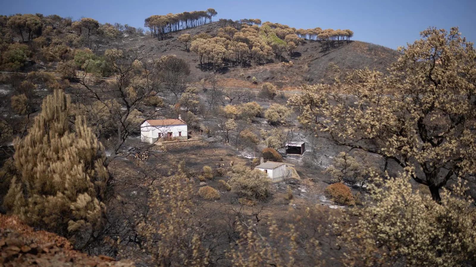 El Gobierno declara zona afectada por emergencia a localidades de Granada y Niebla
