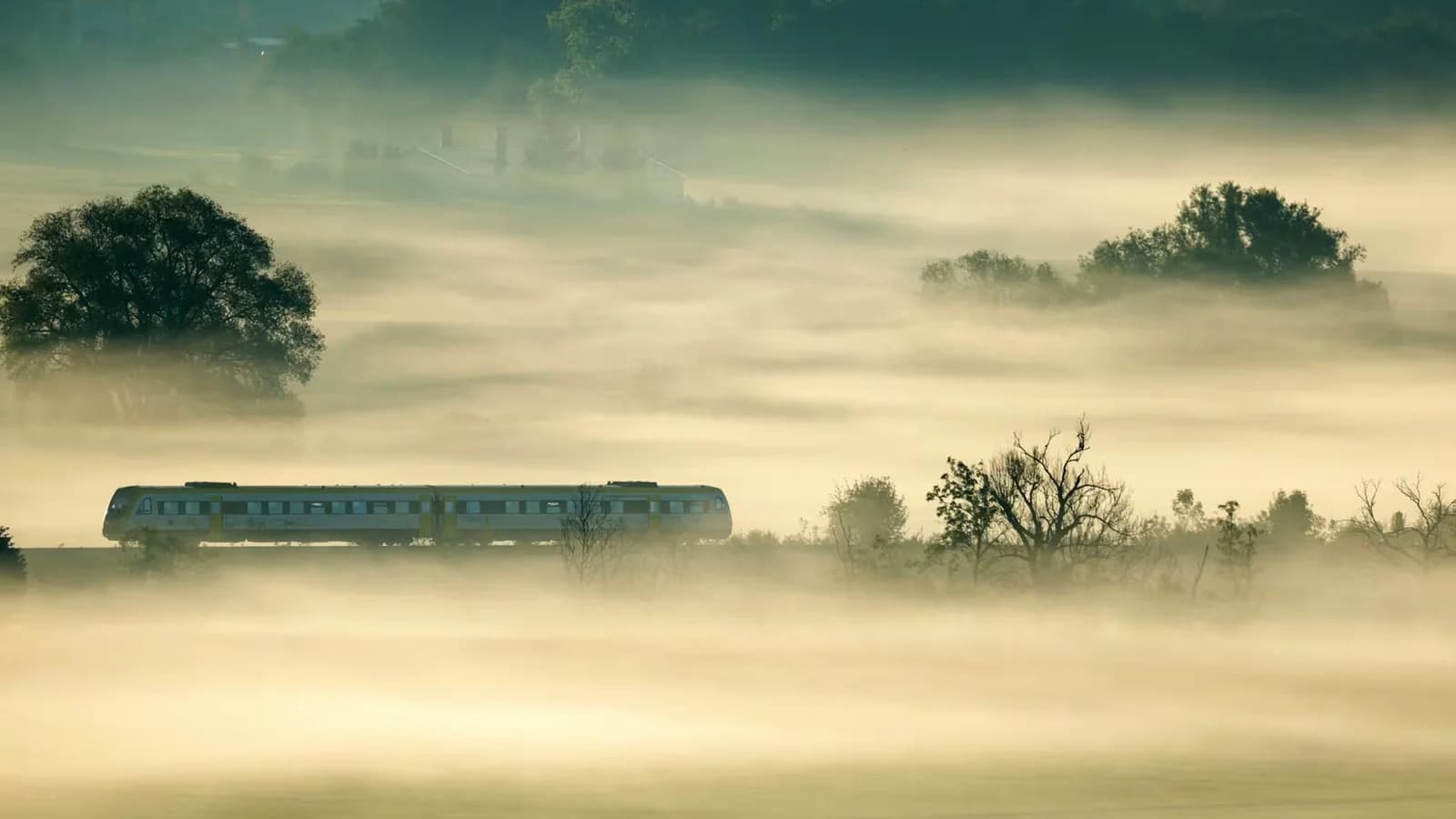 La niebla como metáfora de la soledad y los desafíos de la memoria