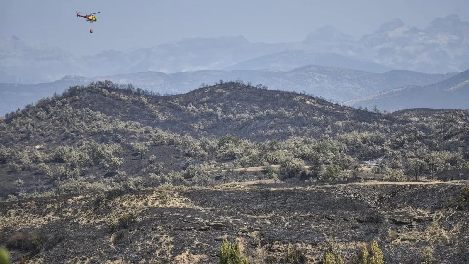 Aragón defiende la publicación de su pedido de prisión por el incendio de Riglos
