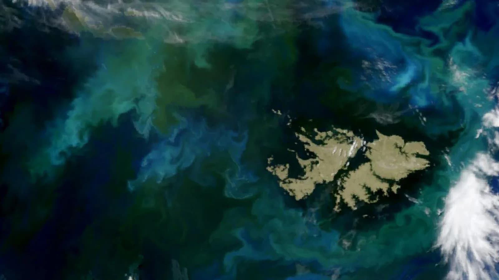 Reino Unido ratificó su soberanía sobre las Malvinas y defendió la autodeterminación
