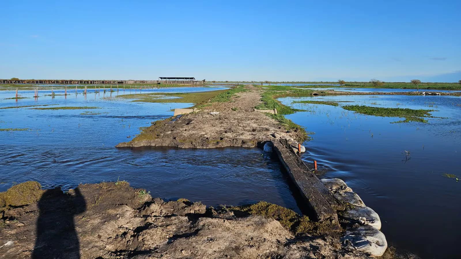 El Niño eleva los riesgos para toda la cadena productiva argentina