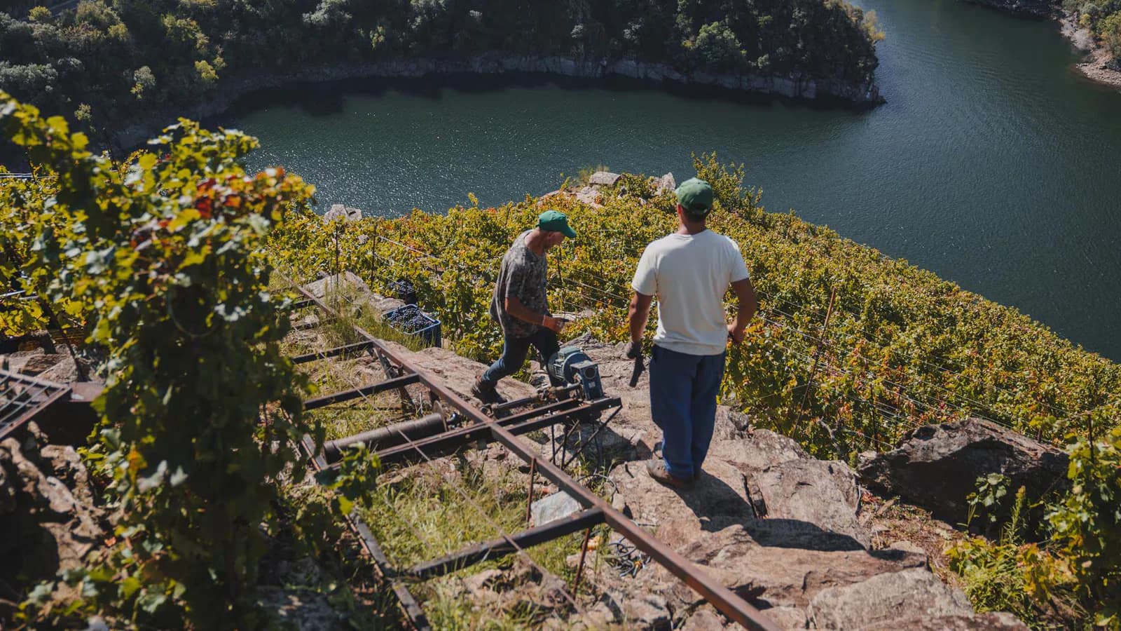 La recuperación de la Ribeira Sacra, entre bancales y trabajo manual