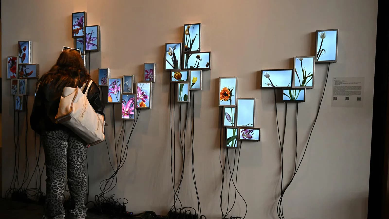 “La vida secreta de las flores”: plantas, registro y vigilancia