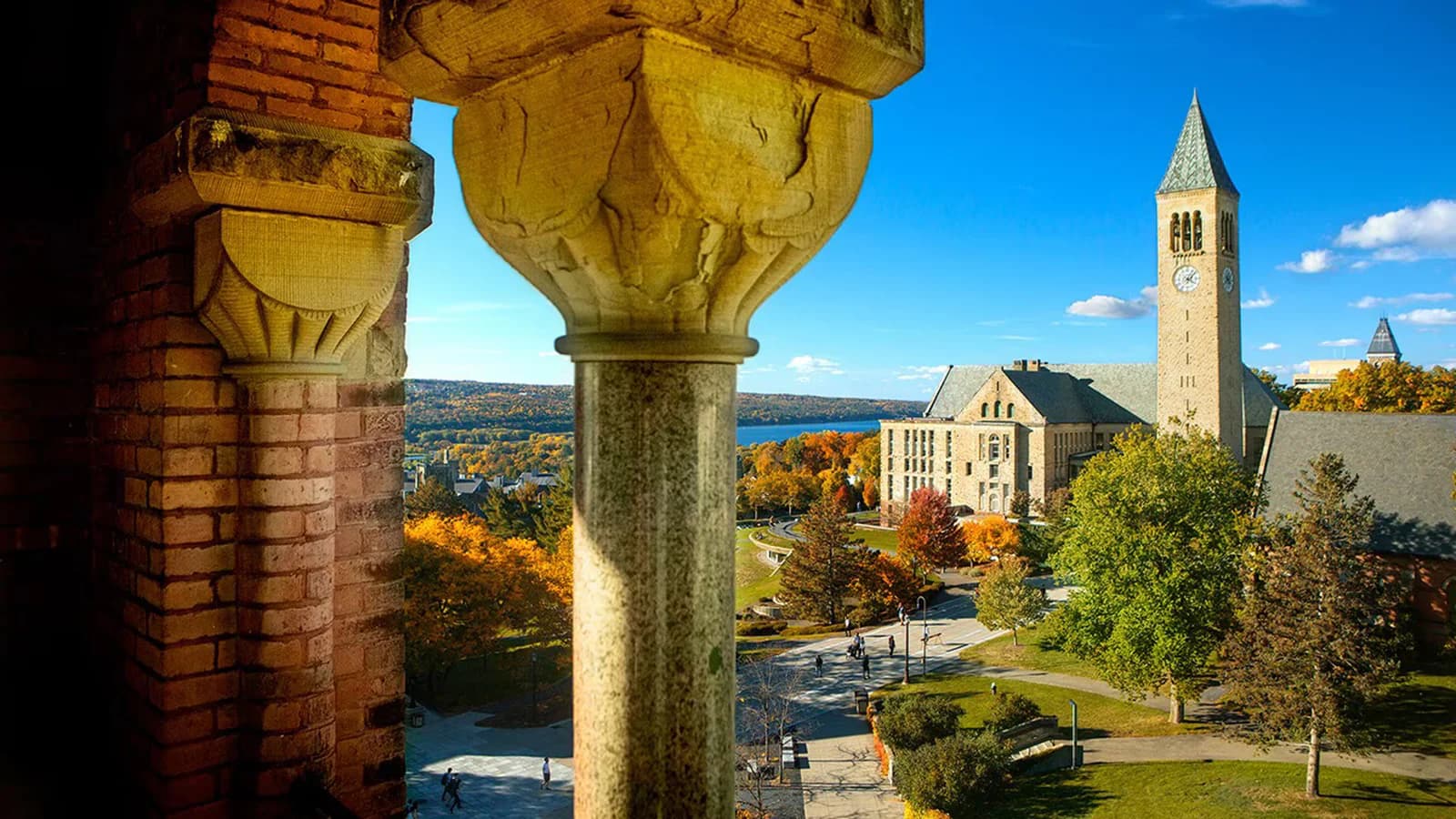 Cornell respalda la nueva investigación por una denuncia de violación grupal