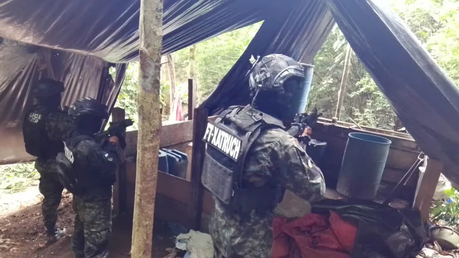 Honduras detectó cuatro plantaciones de hoja de coca en el departamento de Colón