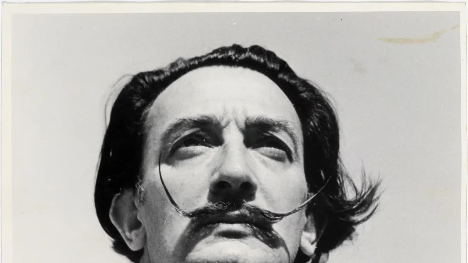 Robaron en Francia un ejemplar único de 210 kilos con una cubierta de Dalí