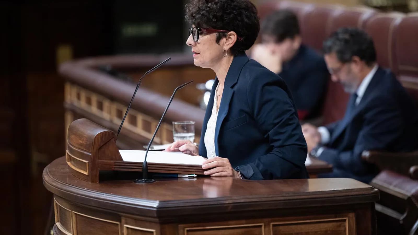 El PNV descarta apoyar un gobierno que implique una “involución democrática”