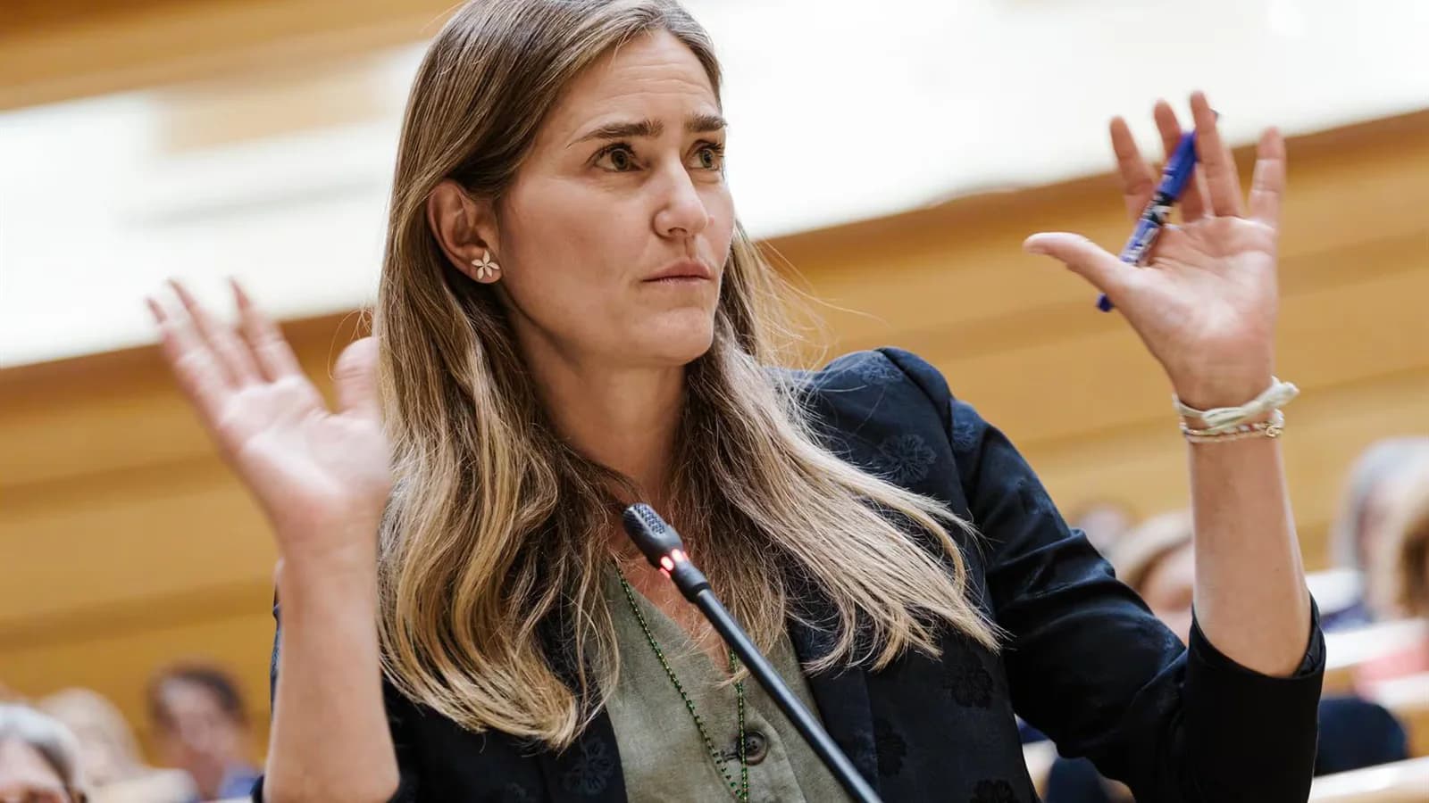 El juez cita como testigos a Sara Aagesen, Íñigo Errejón y Pedro Saura por el caso Air Europa