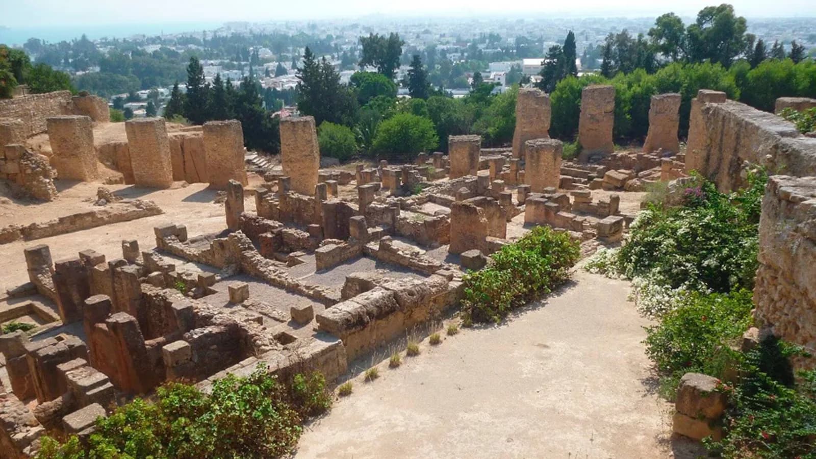 Un estudio destaca el valor de los yacimientos arqueológicos para conservar plantas