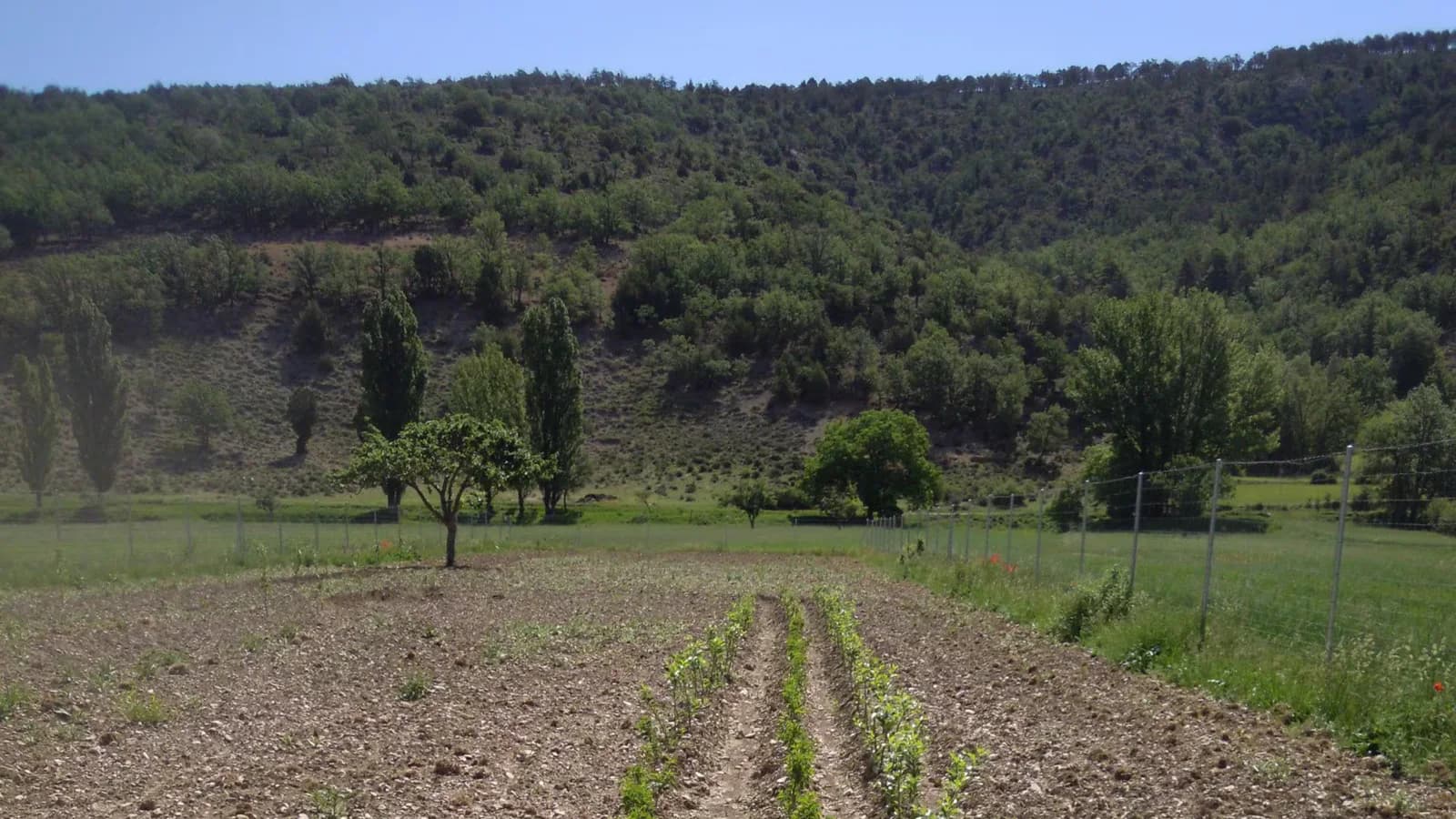 Un estudio señala al riego agrícola como posible reservorio de Legionella