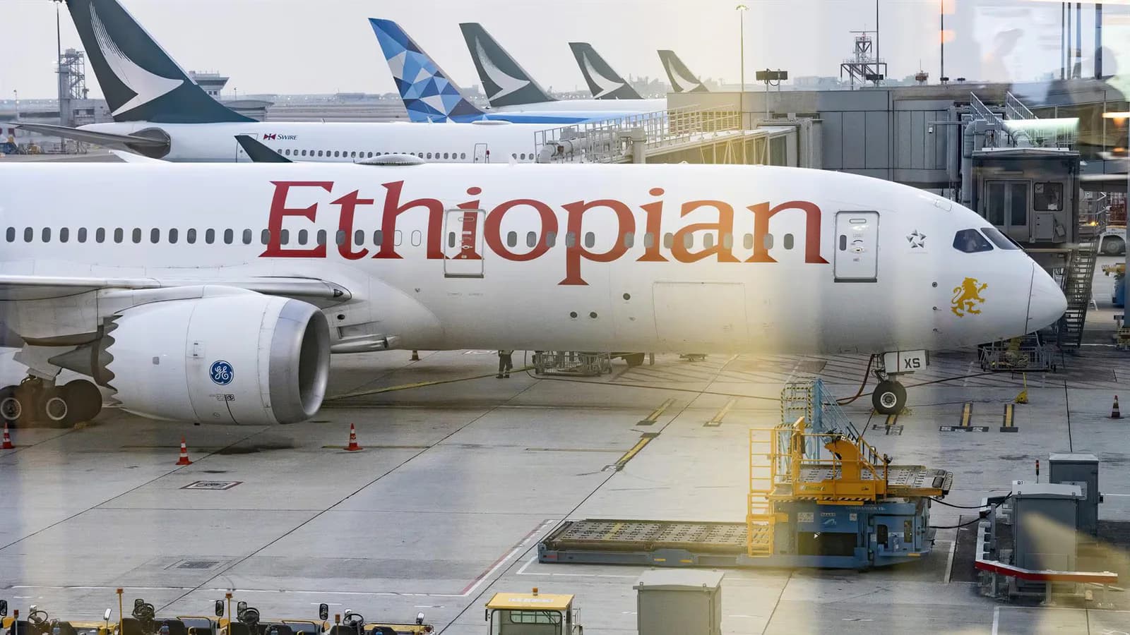Ethiopian Airlines reanudará el domingo sus vuelos a Mekelle, en Tigray