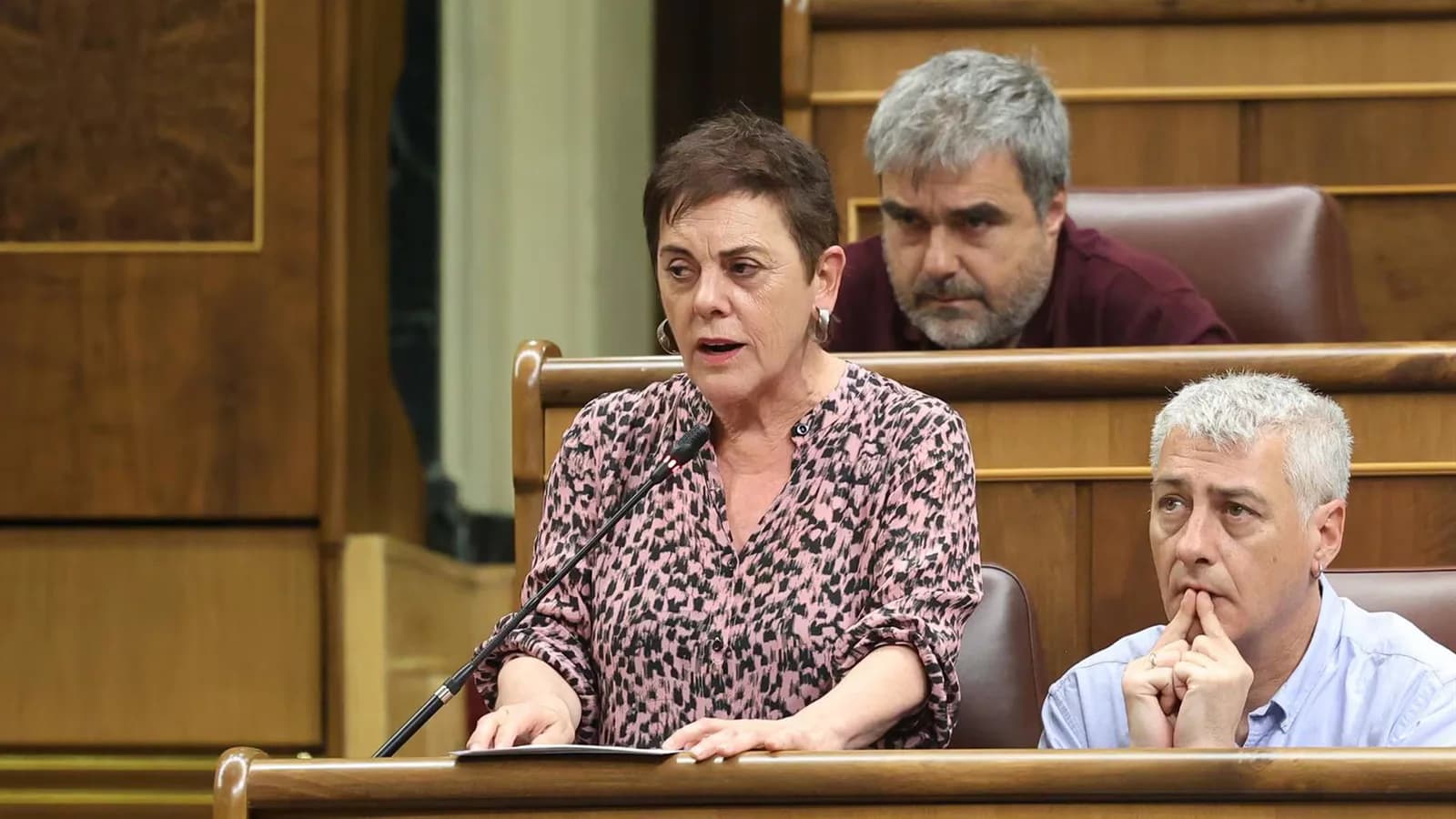Mertxe Aizpurua no será candidata de EH Bildu en las elecciones del 29 de noviembre