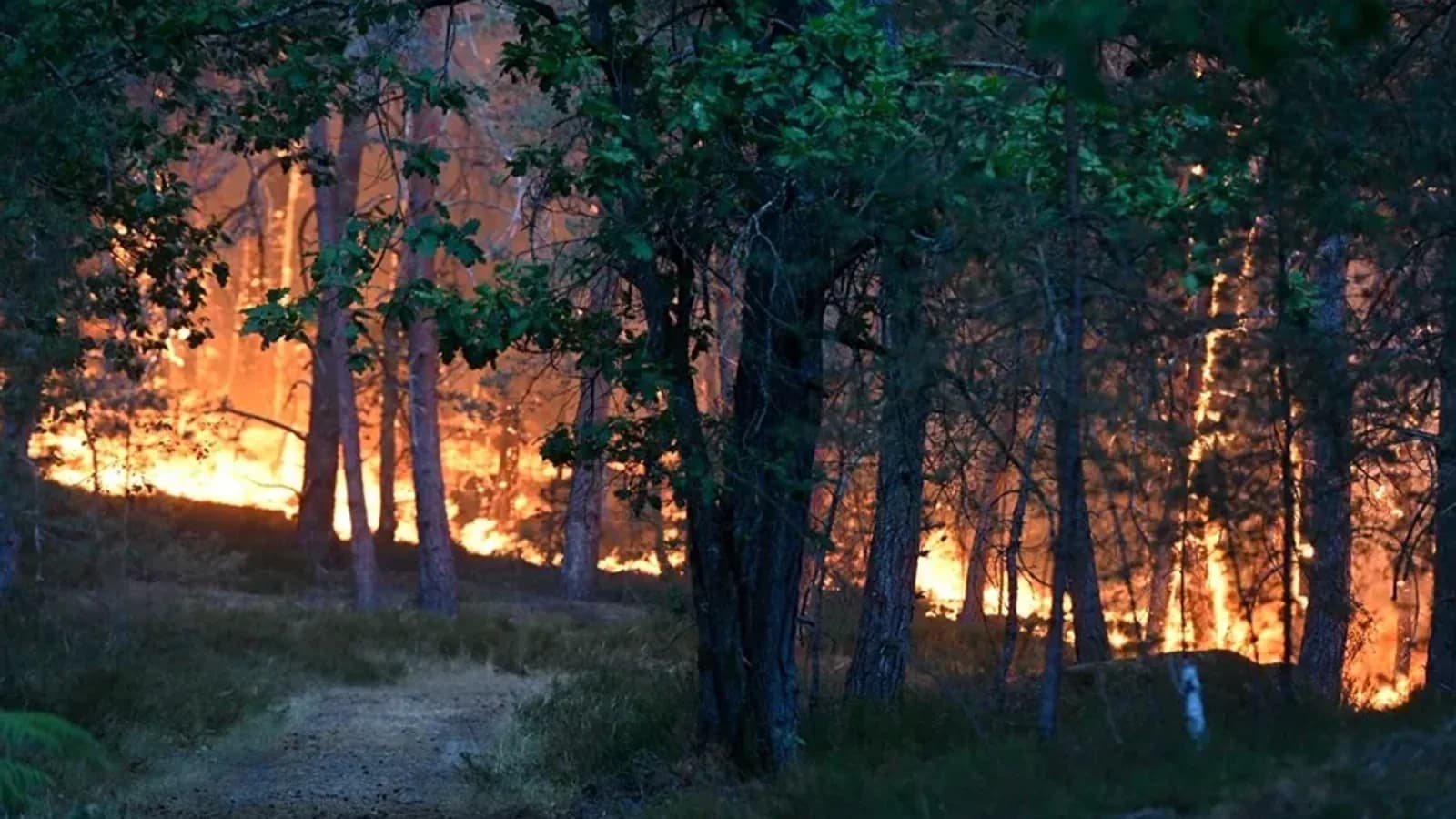 Incendio en Fontainebleau: Macron resalta la gravedad de la situación