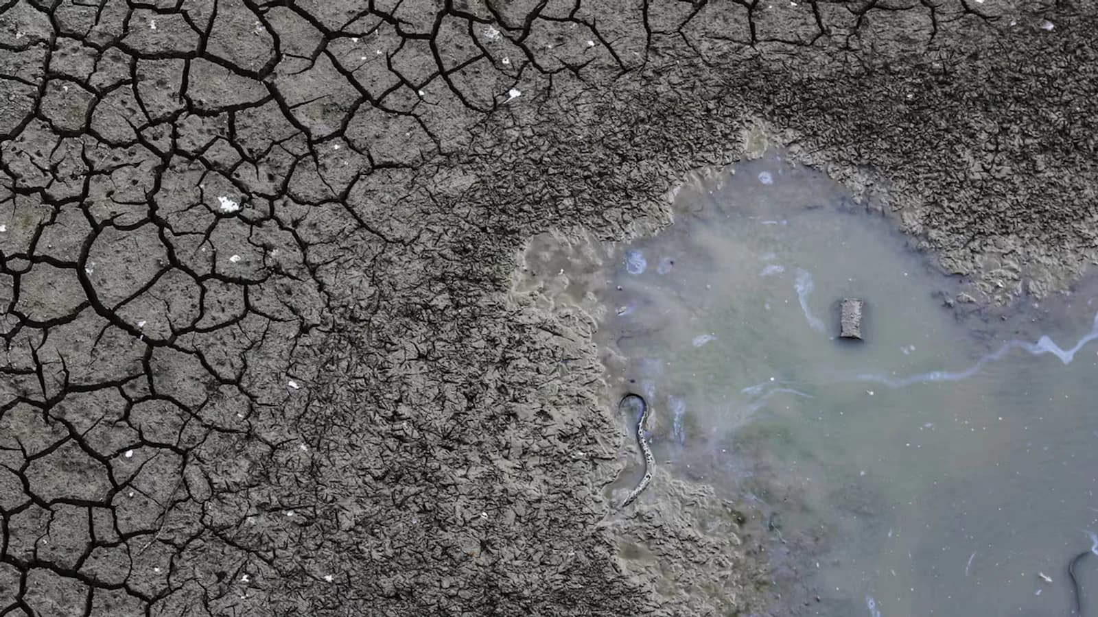 UBS alerta sobre los efectos desiguales de El Niño en la economía latinoamericana