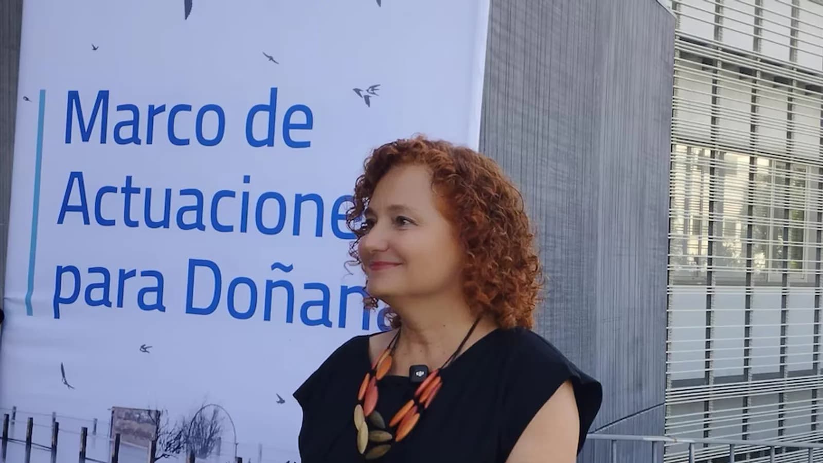 El Gobierno asegura que las ayudas para renaturalizar Doñana están muy avanzadas
