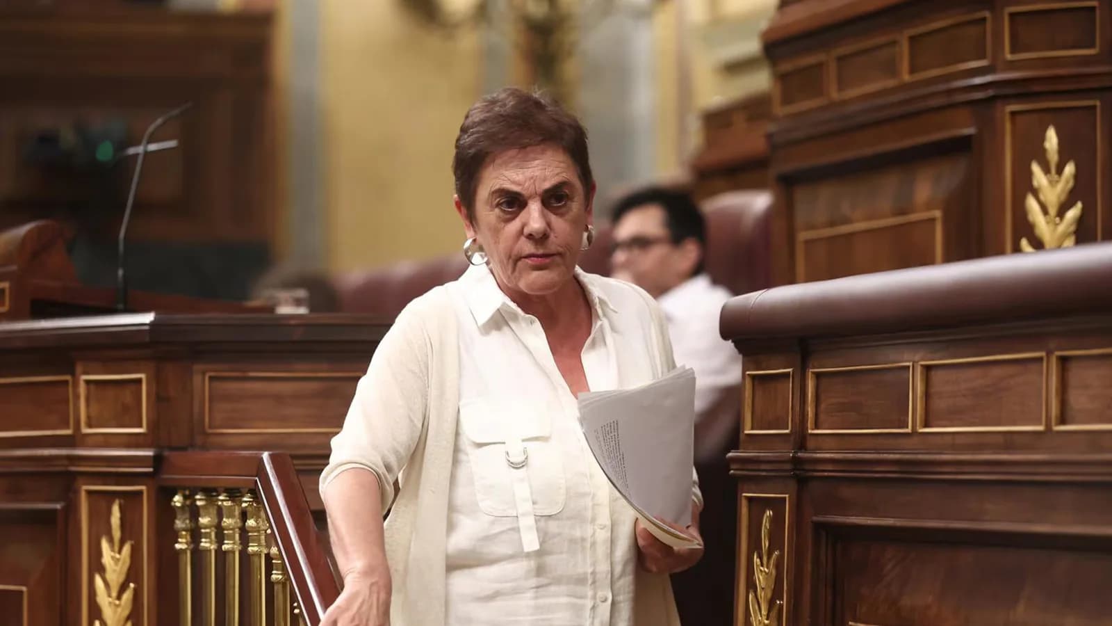 Bildu reclama aplicar la amnistía a todos los represaliados por el ‘procés’
