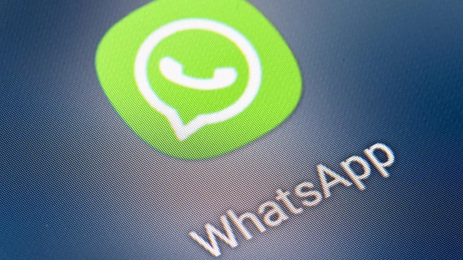 Dónde están los archivos de WhatsApp que ocupan espacio en el celular