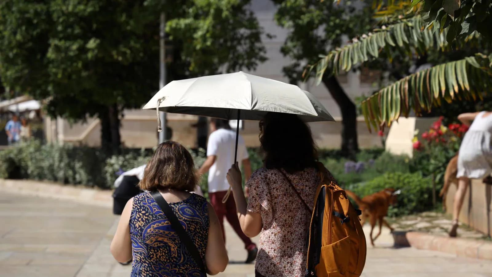 Avisos por calor en 19 provincias, Ceuta y Melilla: Murcia llegará a 42 grados