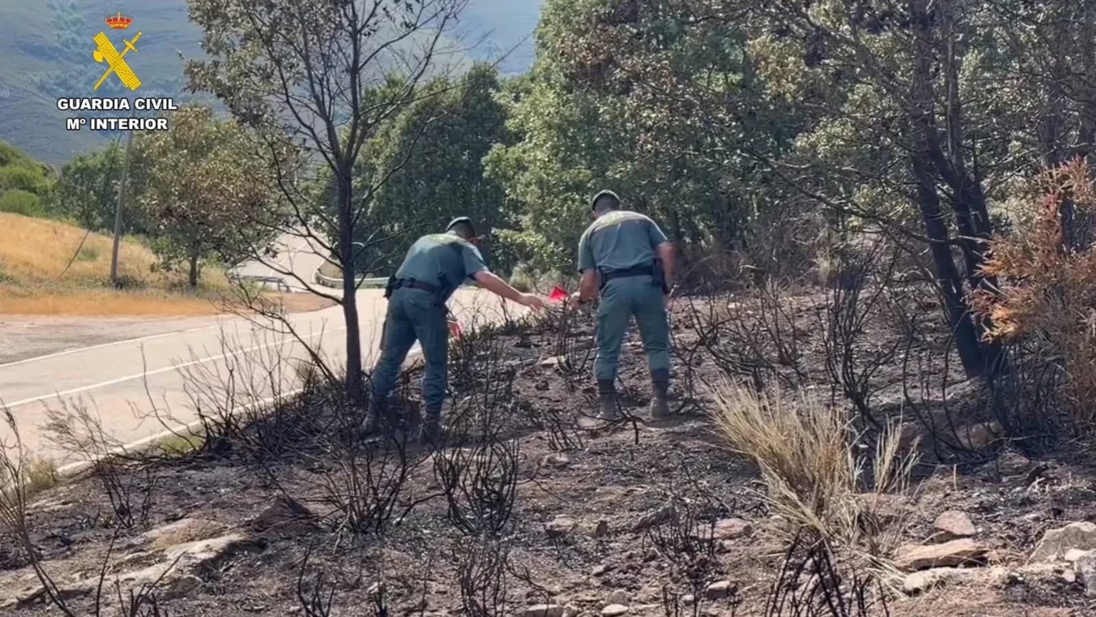 Detienen a un hombre e investigan a otro por 15 incendios en Zamora