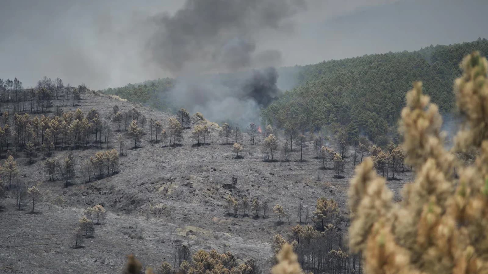 El incendio de La Mierla ya quemó 9.000 hectáreas y obligó a evacuar 16 pueblos