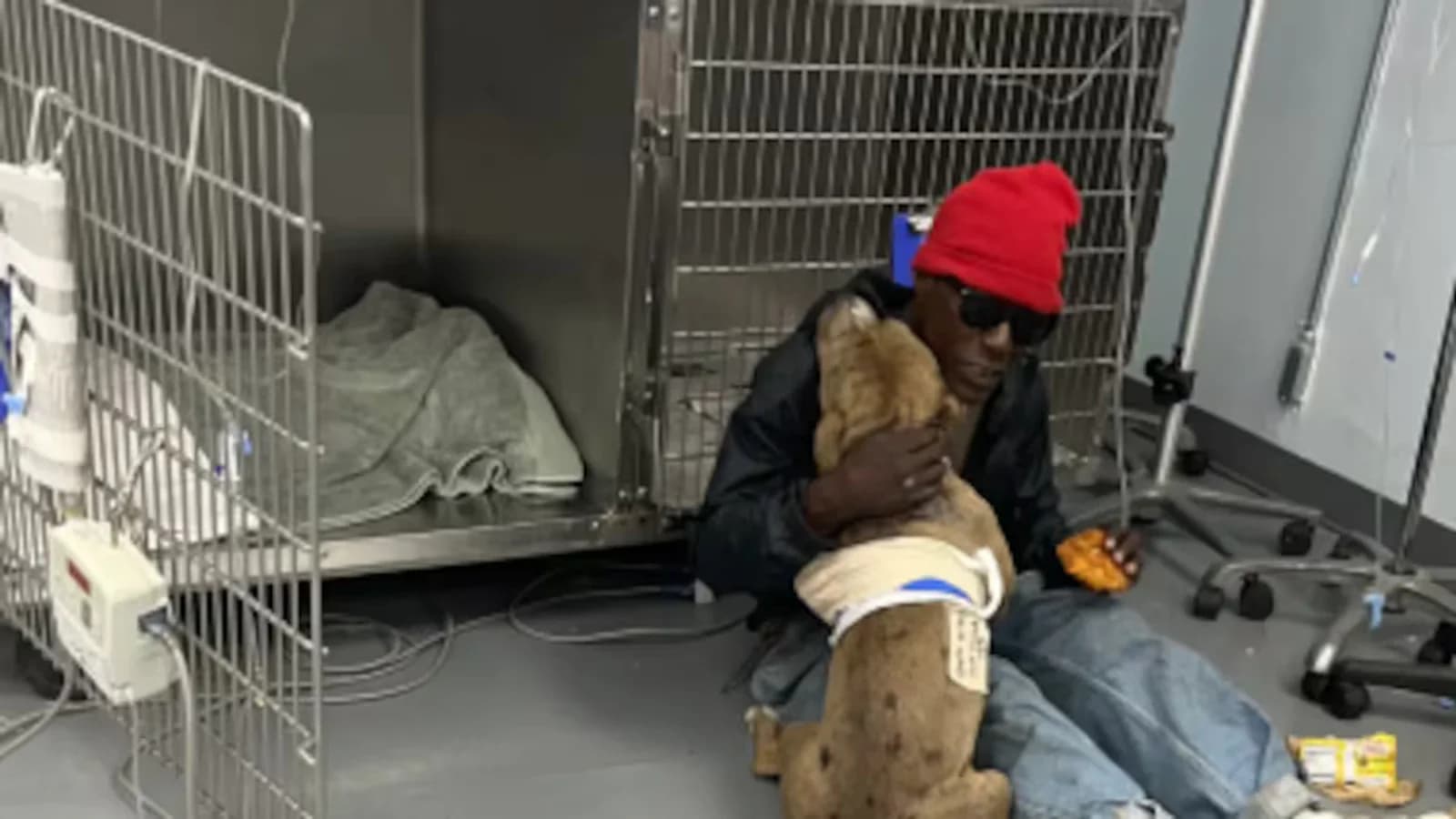 Un hombre sin recursos esperó con su perra herida frente a una veterinaria