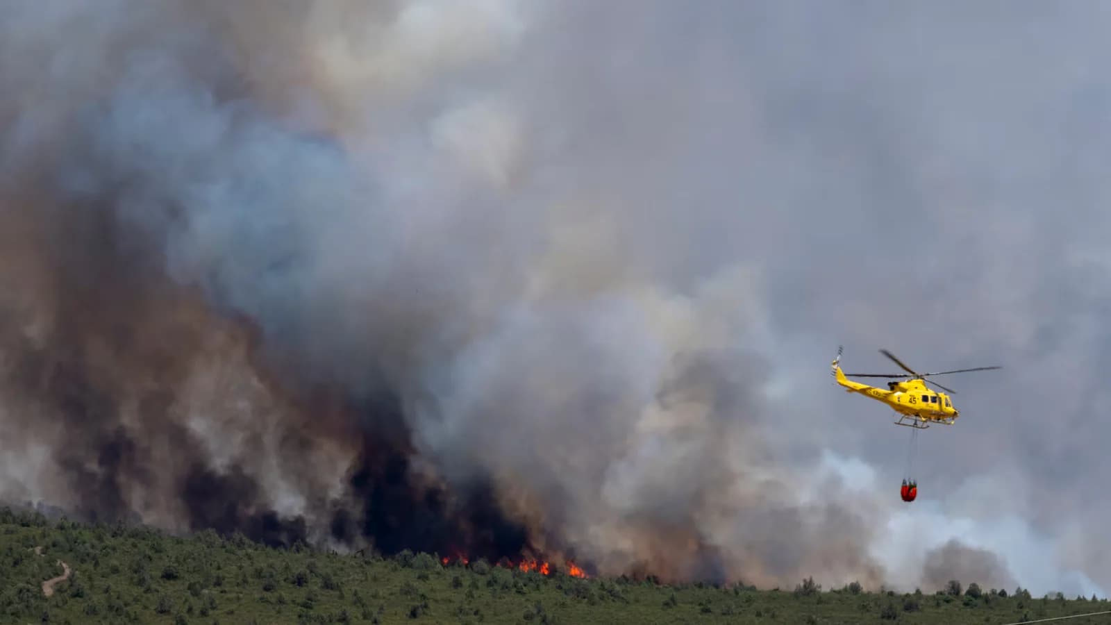 El incendio en la Sierra Norte de Guadalajara ya afecta a unas 12.000 hectáreas