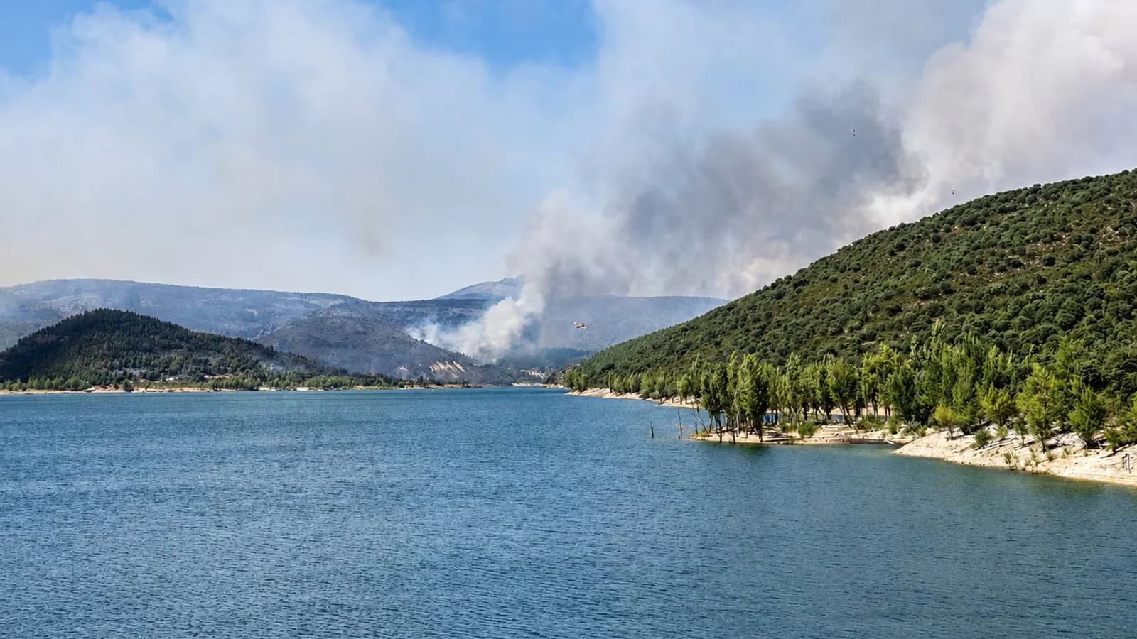 Los incendios forestales ya afectaron más de 101.000 hectáreas en España