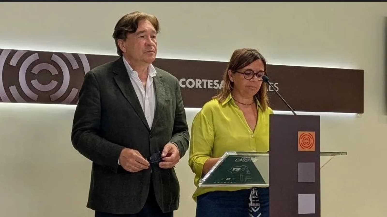 Teruel Existe prepara medidas contra la reactivación de macroparques eólicos en Matarraña