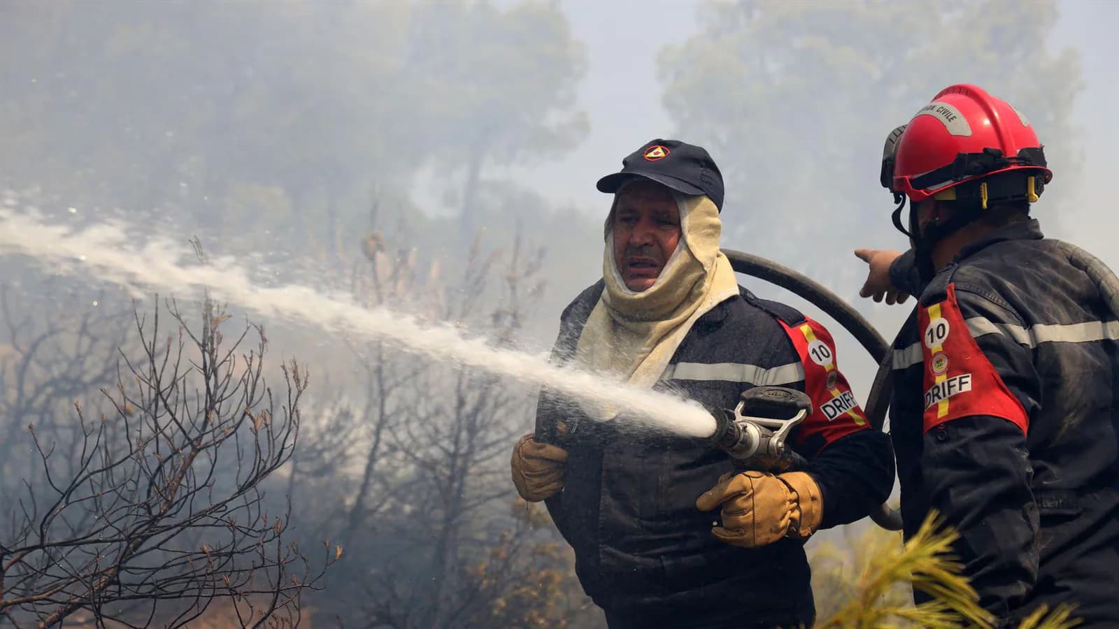 Seis muertos por los incendios forestales en el norte de Argelia