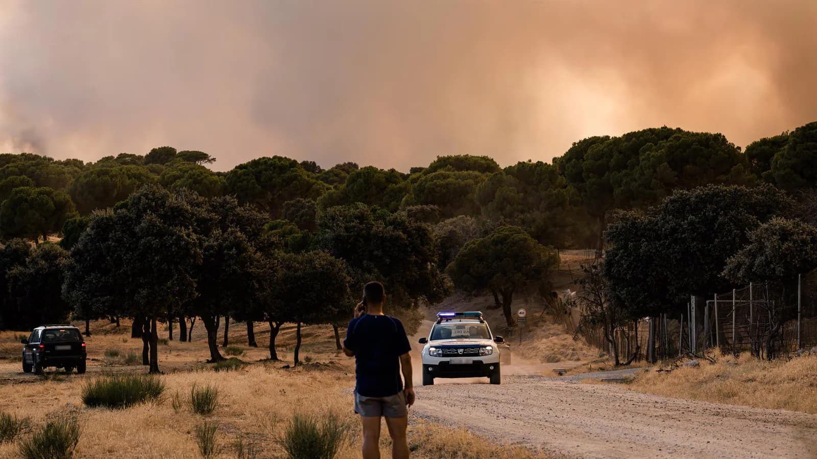 Más de 10.000 evacuados por incendios forestales en la Comunidad de Madrid
